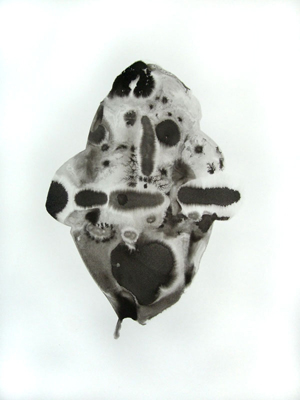 inkblot drawing by Katharina Fengler