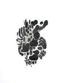 inkblot drawing by Katharina Fengler