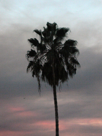 digital photograph by Katharina Fengler